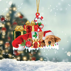 MAXCORNERS POMERANIAN 2 MERRY CHRISTMAS HANGING ORNAMENT