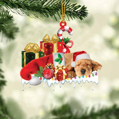 MAXCORNERS POMERANIAN 2 MERRY CHRISTMAS HANGING ORNAMENT