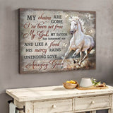 Maxcorners Graceful Mare Canvas Print