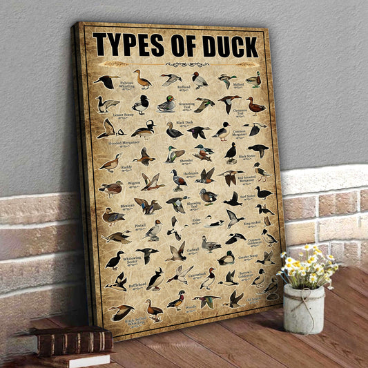 Maxcorners Types of Duck Canvas – Educational Waterfowl Chart Wall Art - Hunting Lodge or Nature Decor