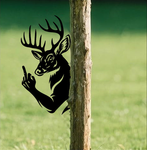 files/YS2.jpg