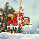 MAXCORNERS SHELTIE MERRY CHRISTMAS HANGING ORNAMENT