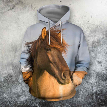 Maxcorners Love Beautiful Horse