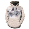 Maxcorners Two Sleeping Cats PT18